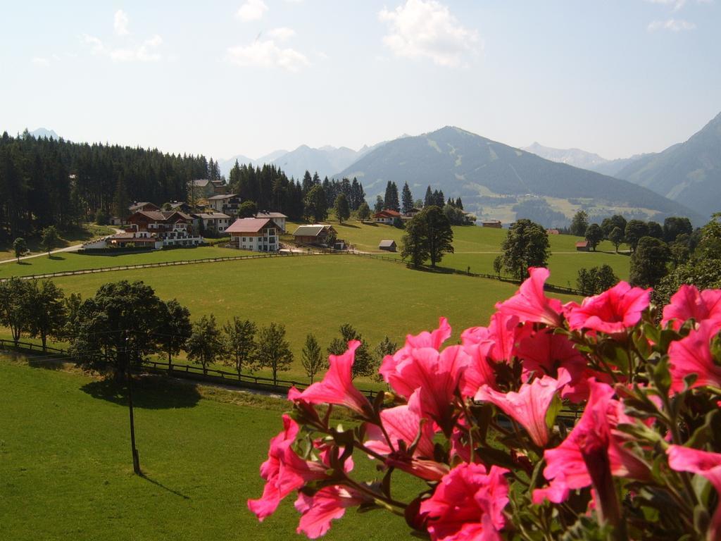 Pension Felsenheim รัมเซา อัม ดาคชไตน์ ห้อง รูปภาพ