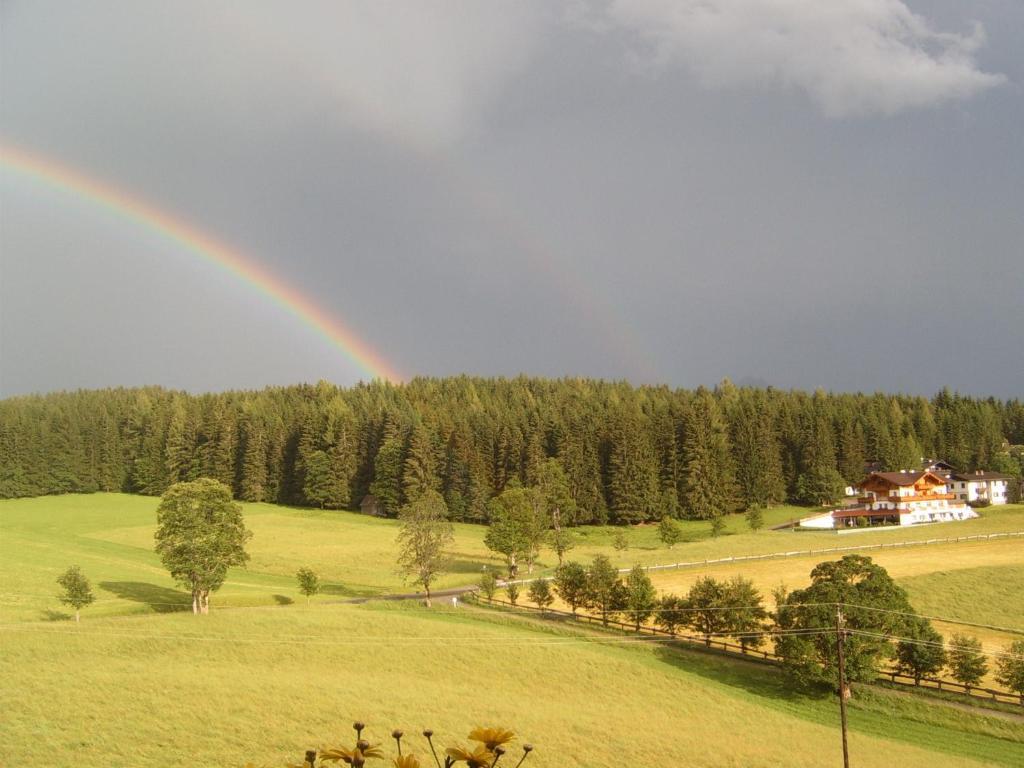 Pension Felsenheim รัมเซา อัม ดาคชไตน์ ห้อง รูปภาพ