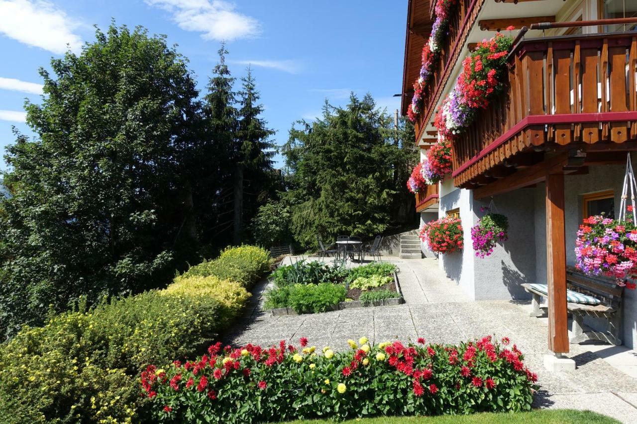 Pension Felsenheim รัมเซา อัม ดาคชไตน์ ภายนอก รูปภาพ
